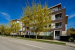 Photo 25 at 109 - 4080 Yukon Street, Cambie, Vancouver West